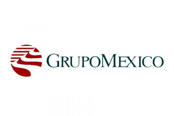 Felicitamos a Fernando López por su nombramiento como CEO de Grupo México Transportes. Imagen: Directorio Minero